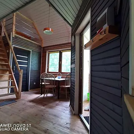 Lodge Skandynawski